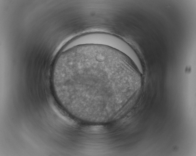 X0000112010108200909141135