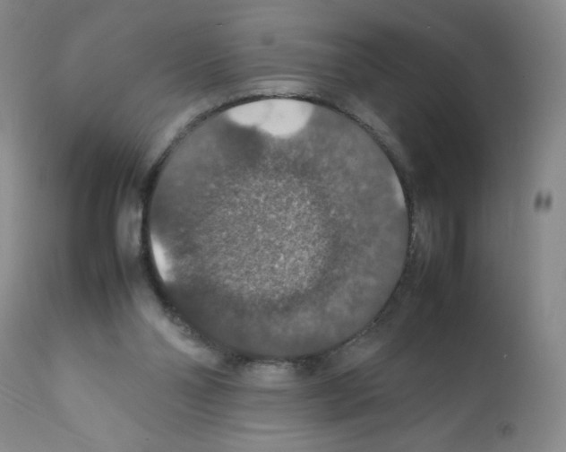X0000112010110200909141135