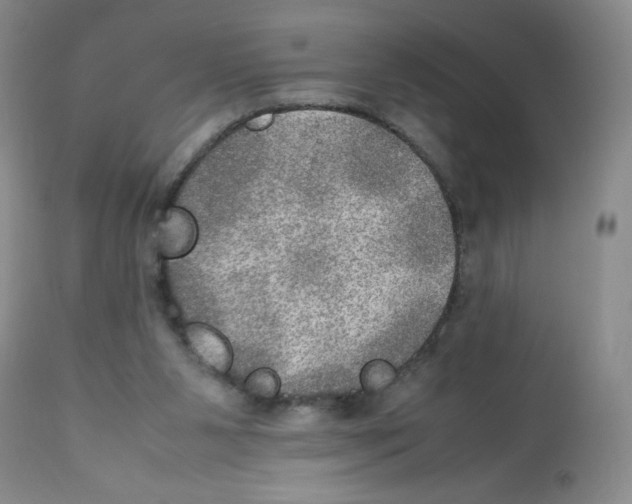 X0000112010111200909141135