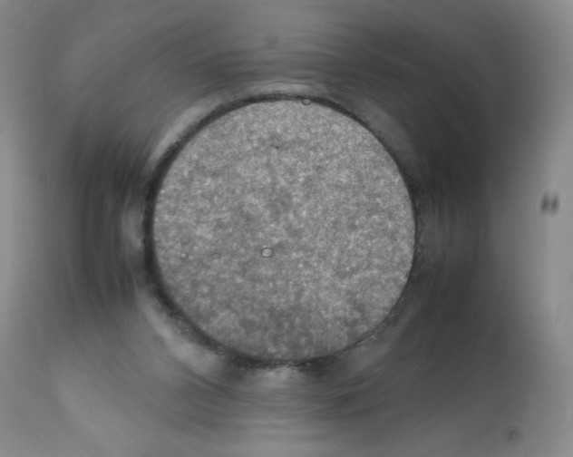 X0000112010112200909141135