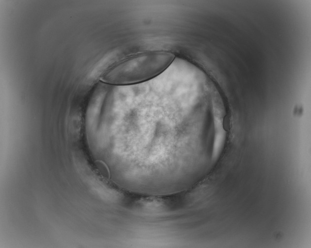 X0000112010113200909141135