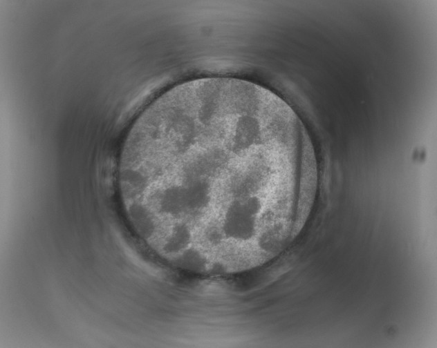 X0000112010115200909141135