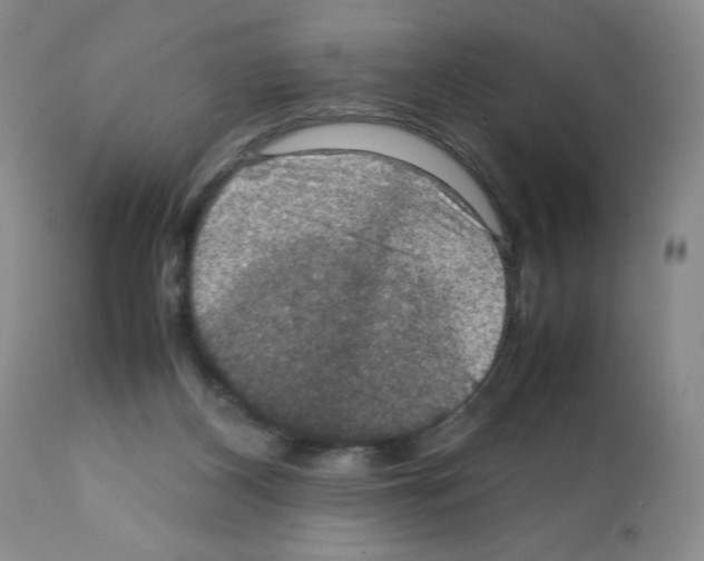 X0000112010116200909141135