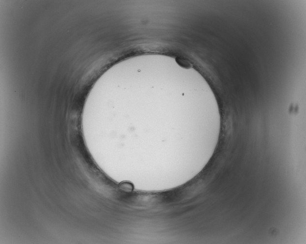 X0000112010117200909141135