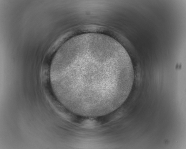 X0000112010119200909141135