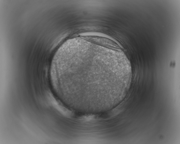 X0000112010120200909141135