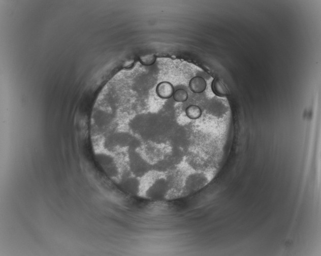 X0000112010123200909141135