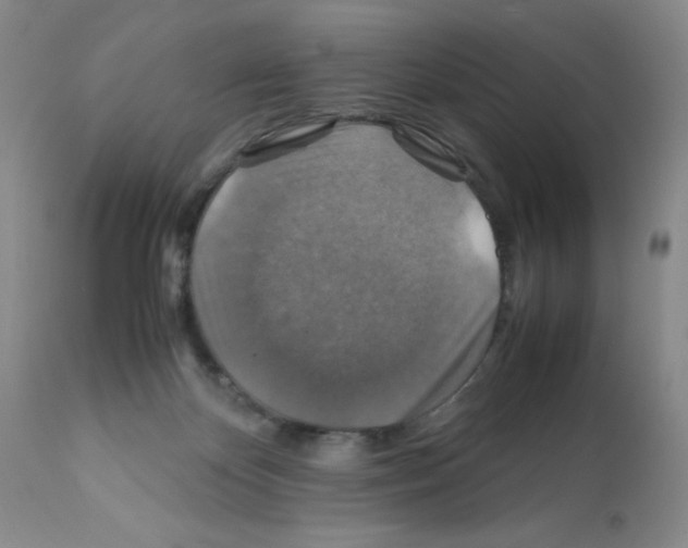 X0000112010124200909141135