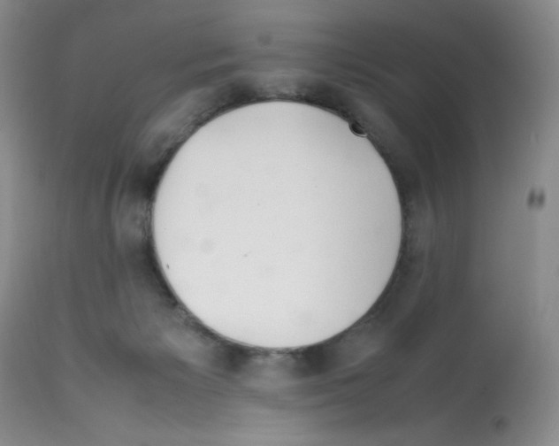 X0000112010125200909141135