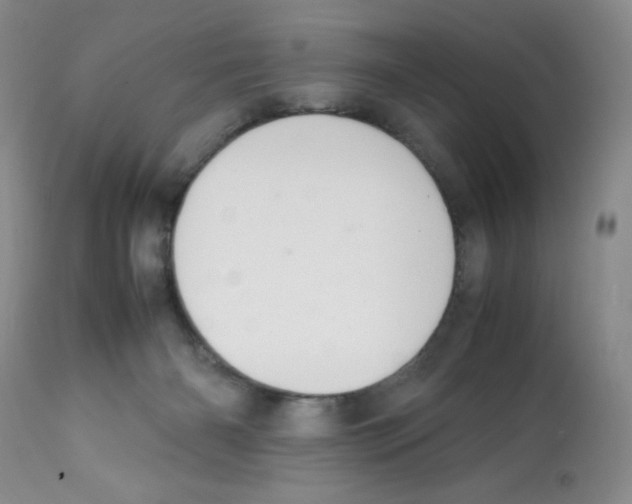 X0000112010126200909141135