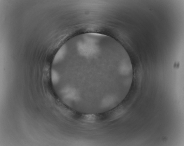 X0000112010127200909141135