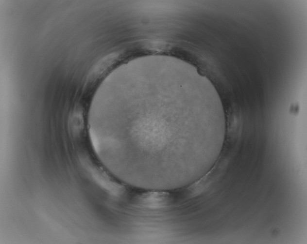 X0000112010128200909141135