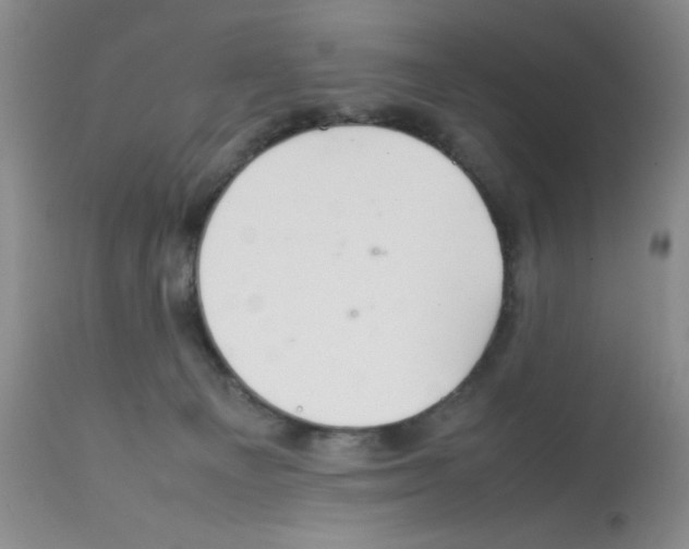 X0000112010129200909141135
