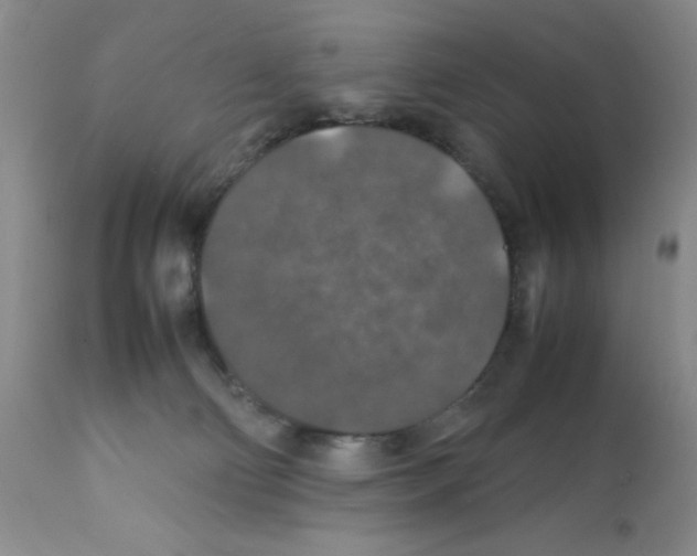 X0000112010130200909141135