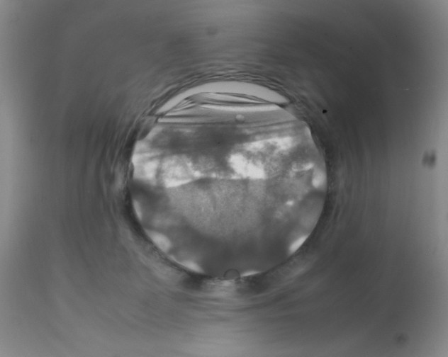 X0000112010131200909141135