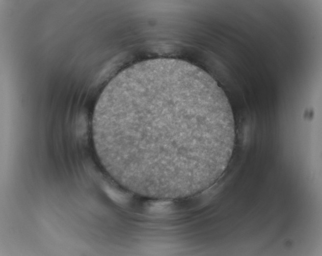 X0000112010132200909141135
