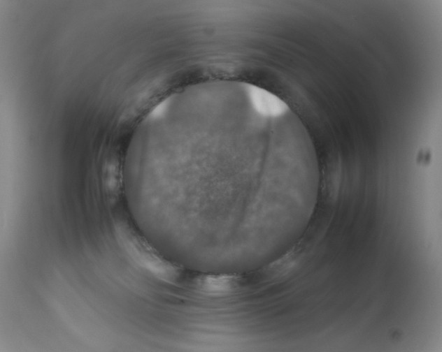 X0000112010134200909141135