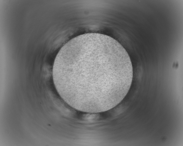 X0000112010135200909141135
