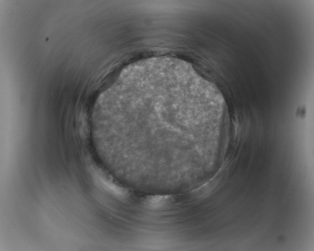 X0000112010136200909141135