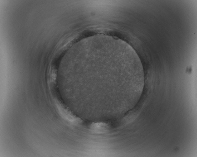 X0000112010137200909141135