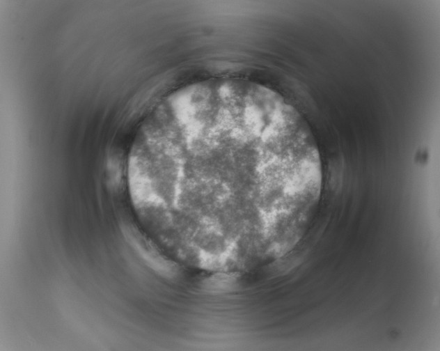 X0000112010138200909141135