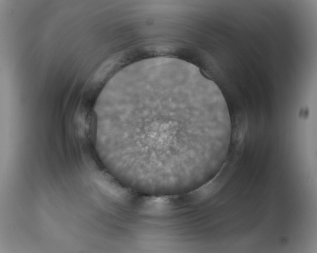 X0000112010140200909141135