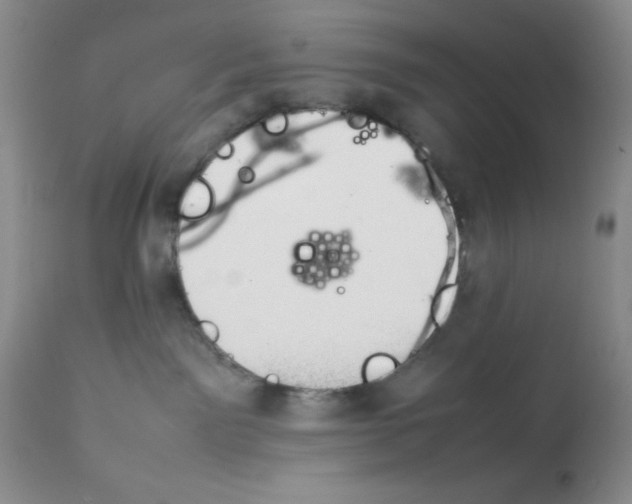 X0000112010141200909141135
