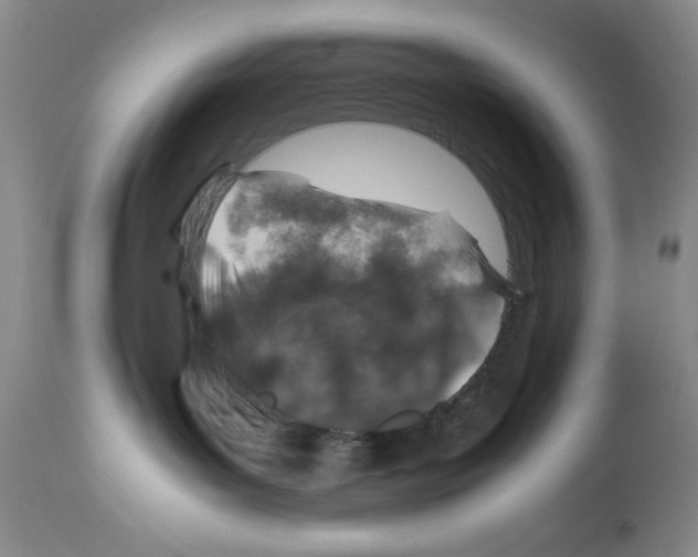 X0000112010143200909141135