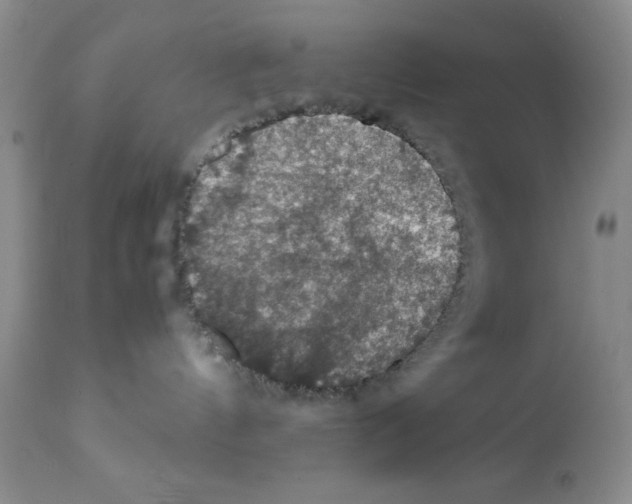 X0000112010144200909141135