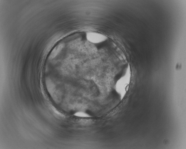 X0000112010145200909141134