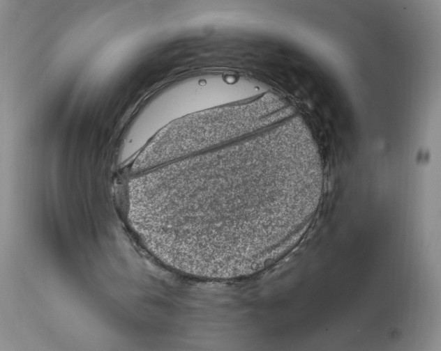 X0000112010146200909141134