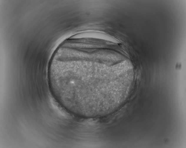 X0000112010148200909141134
