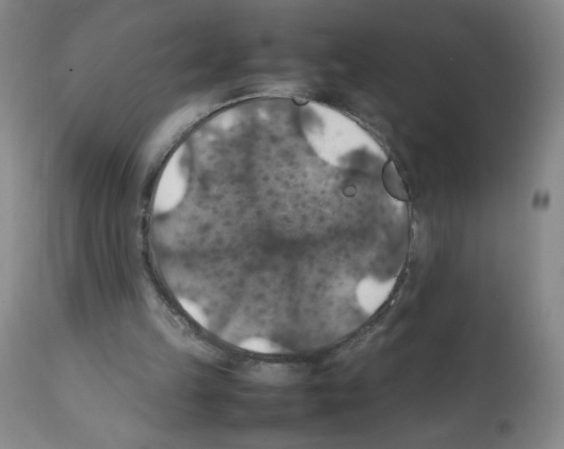 X0000112010149200909141134