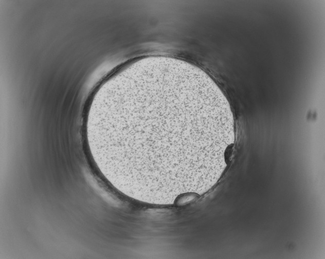 X0000112010150200909141134