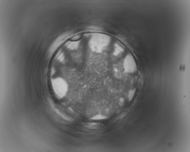 X0000112010151200909141134