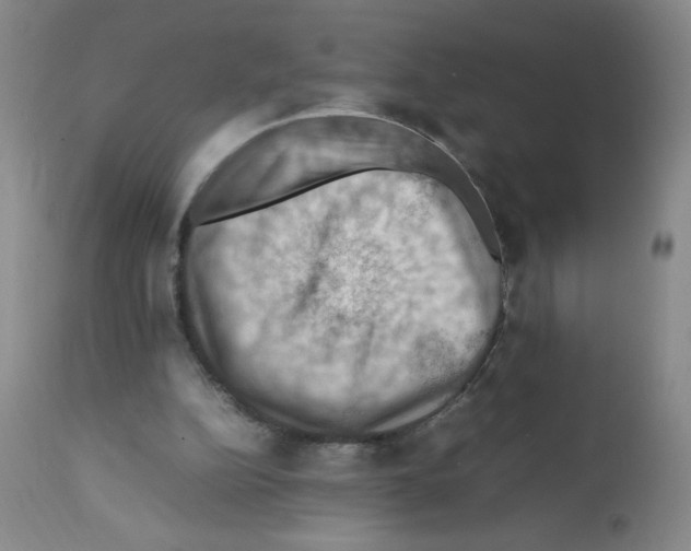 X0000112010152200909141134
