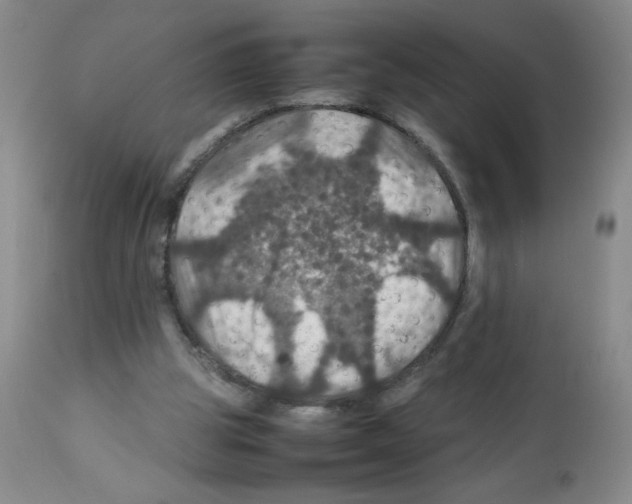 X0000112010153200909141134