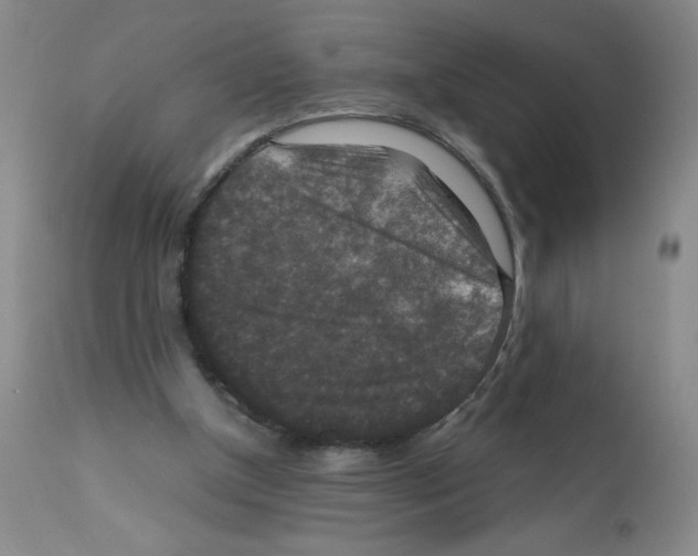 X0000112010154200909141134