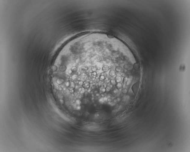 X0000112010155200909141134