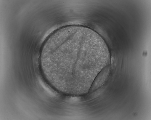 X0000112010156200909141134