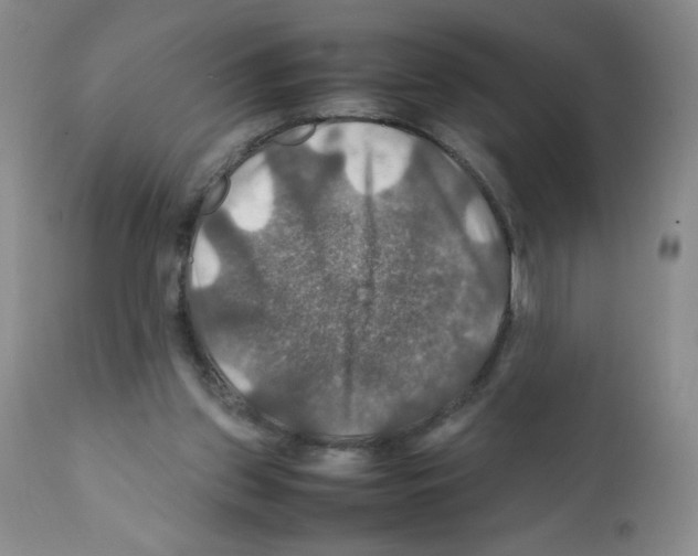 X0000112010157200909141134
