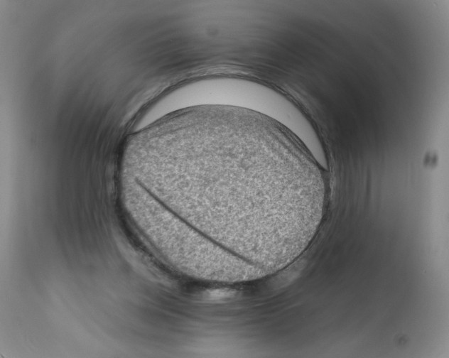 X0000112010158200909141134