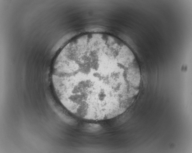 X0000112010159200909141134