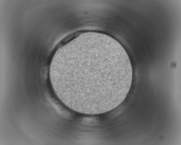 X0000112010160200909141134