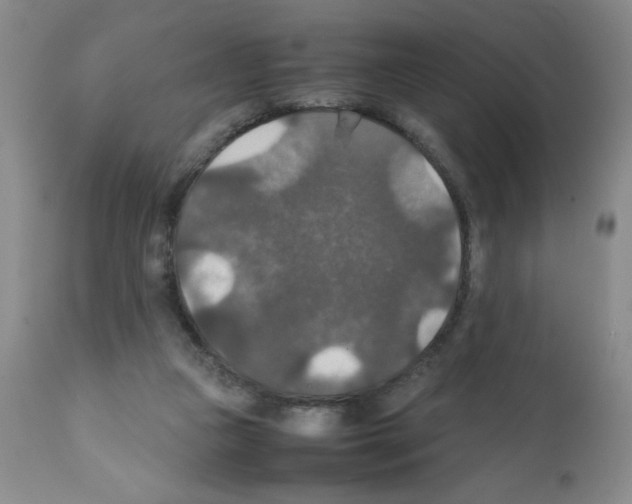 X0000112010161200909141134