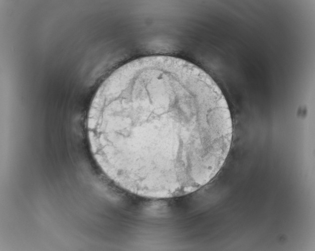 X0000112010162200909141134