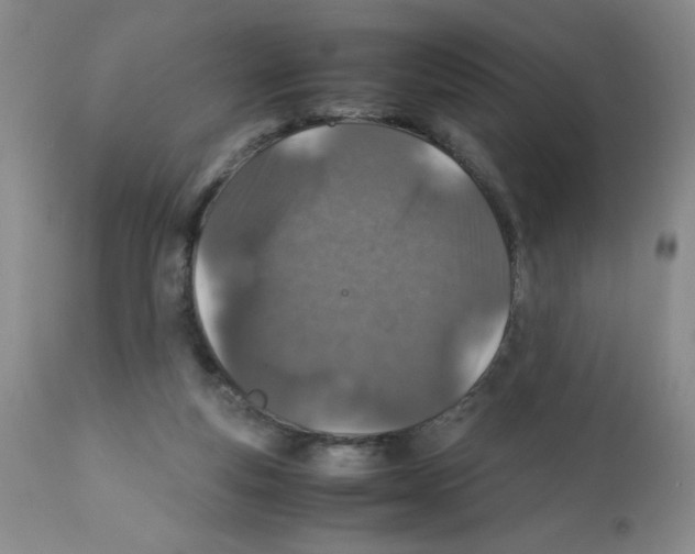 X0000112010163200909141134