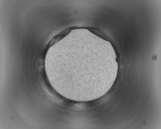 X0000112010164200909141134