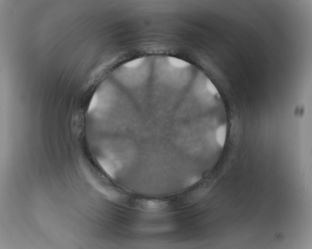 X0000112010165200909141134