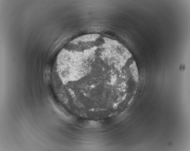 X0000112010166200909141134